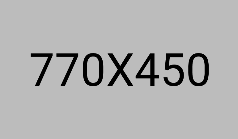 Portfolio Details